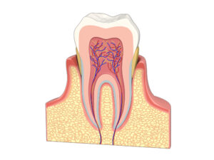 インプラント治療の神経への影響は？損傷・麻痺のリスクとミスや後遺症の対策方法