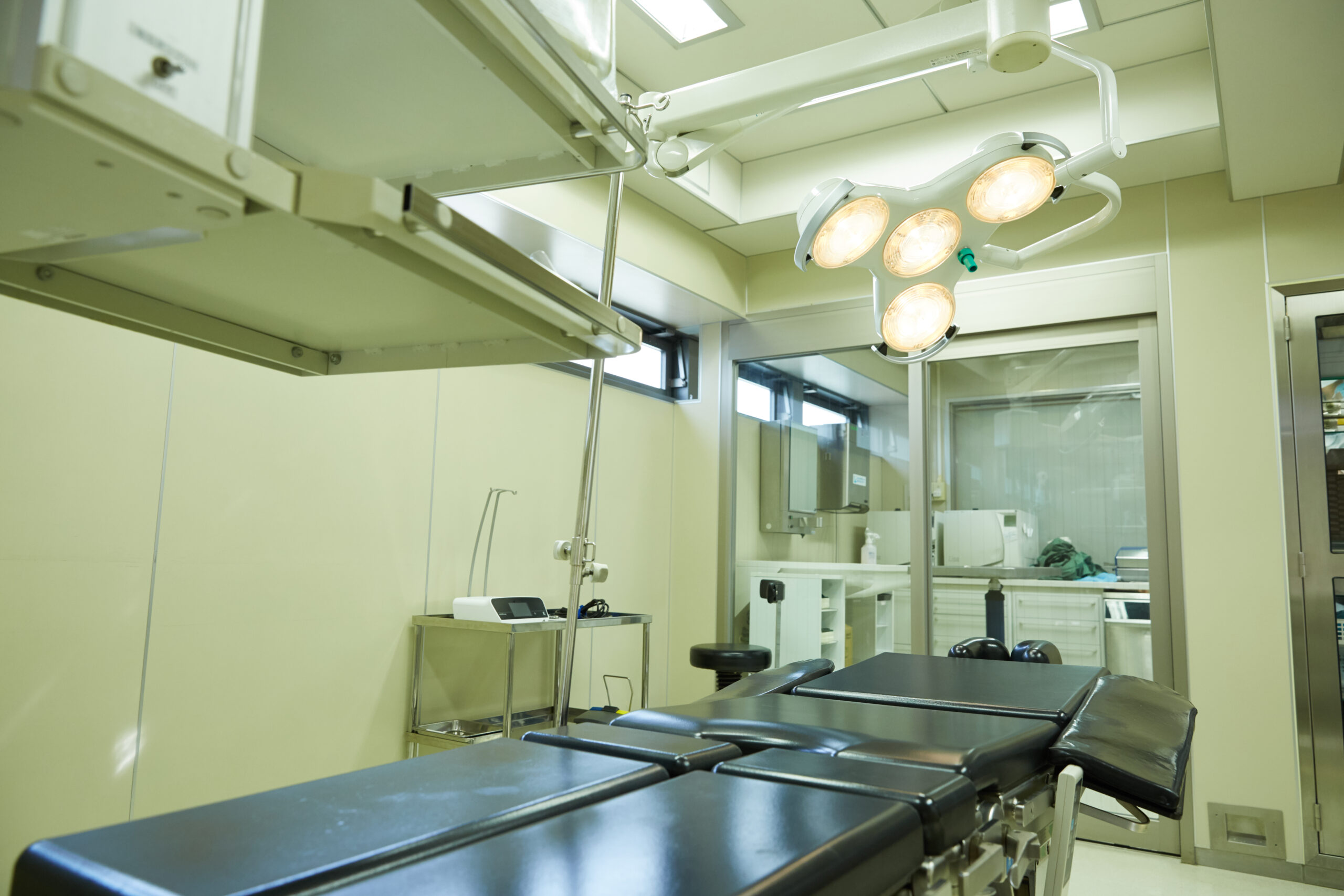 ファミリー歯科医院（埼玉県志木市）の院内風景